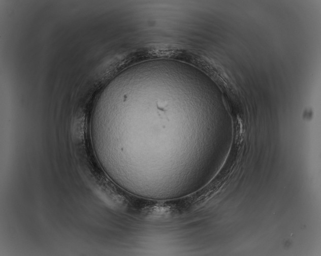 X0000096970647200803071007