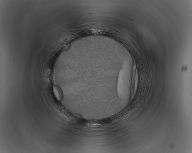 X0000096970650200803071007