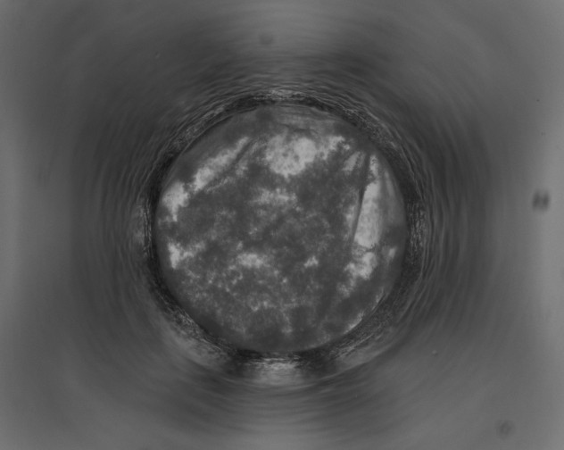 X0000096970651200803071007