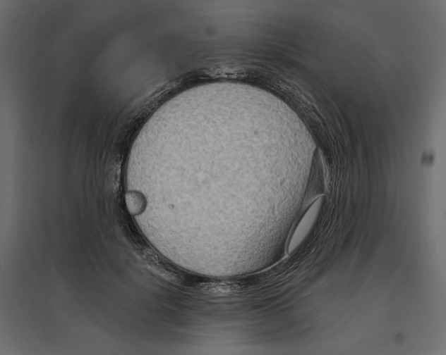 X0000096970652200803071007