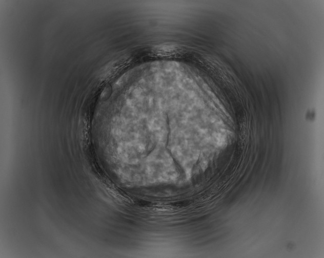 X0000096970653200803071007