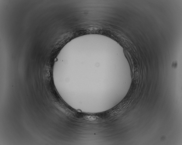 X0000096970654200803071007