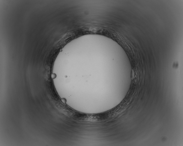 X0000096970656200803071007