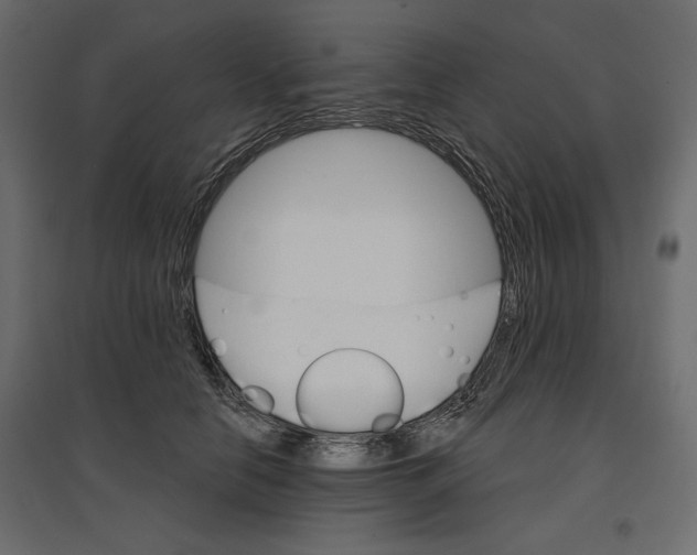 X0000096970658200803071007