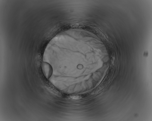 X0000096970659200803071007