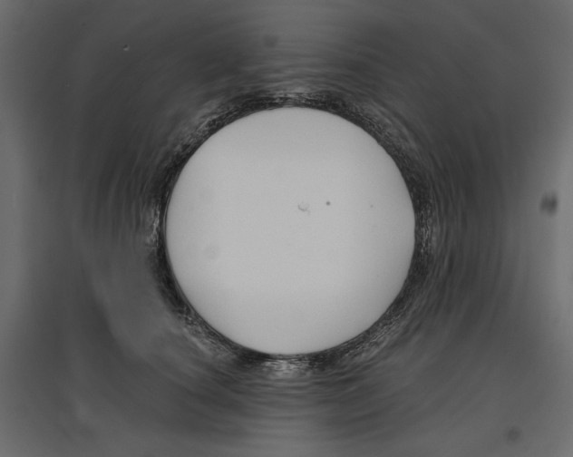 X0000096970660200803071007