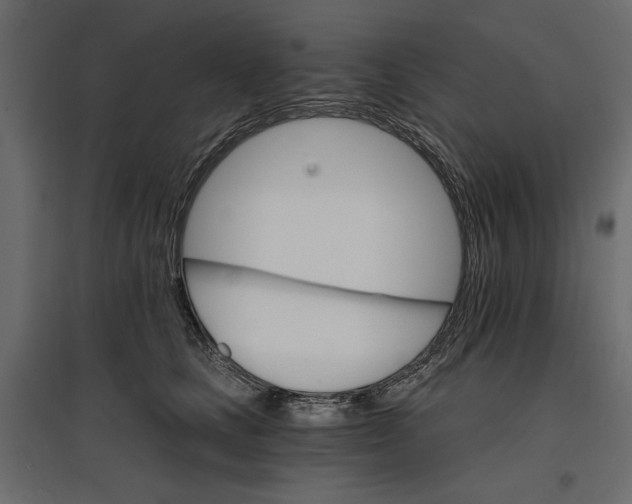 X0000096970661200803071007