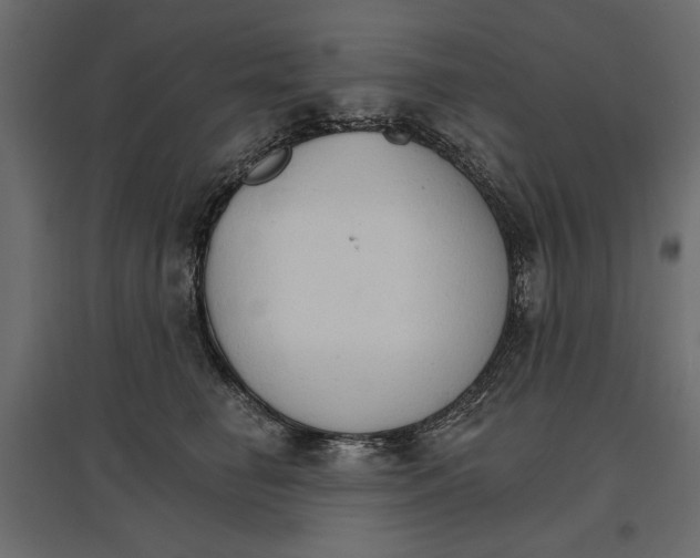 X0000096970662200803071007