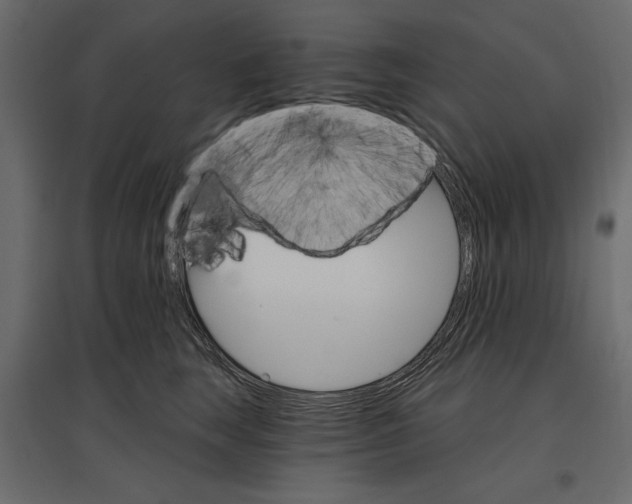 X0000096970663200803071007