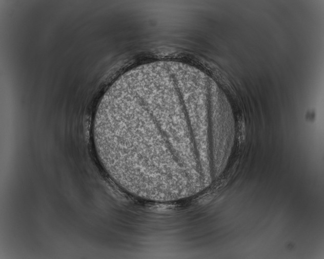 X0000096970664200803071007