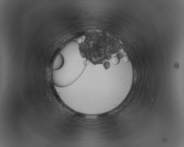 X0000096970666200803071007