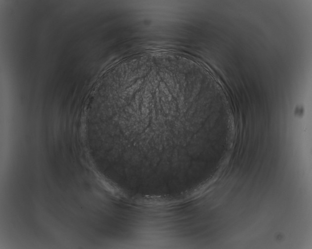 X0000096970667200803071007