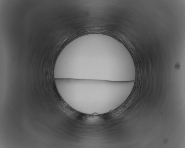 X0000096970669200803071007