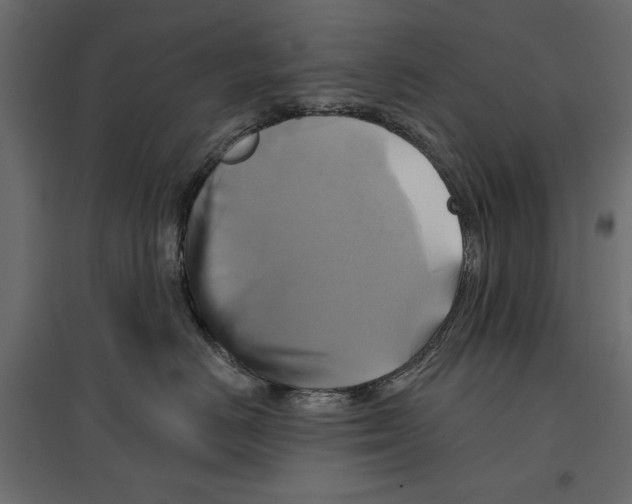 X0000096970670200803071007