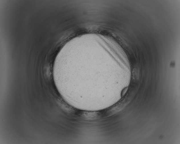 X0000096970671200803071007