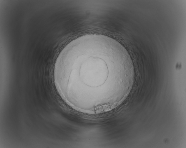 X0000096970672200803071007