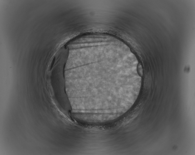 X0000096970673200803071006