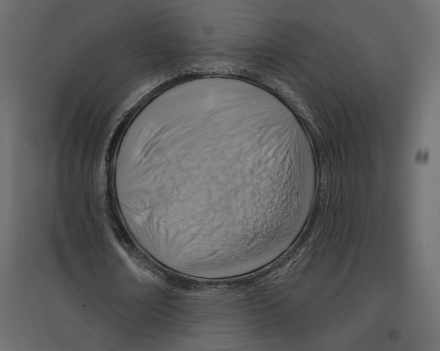X0000096970674200803071006