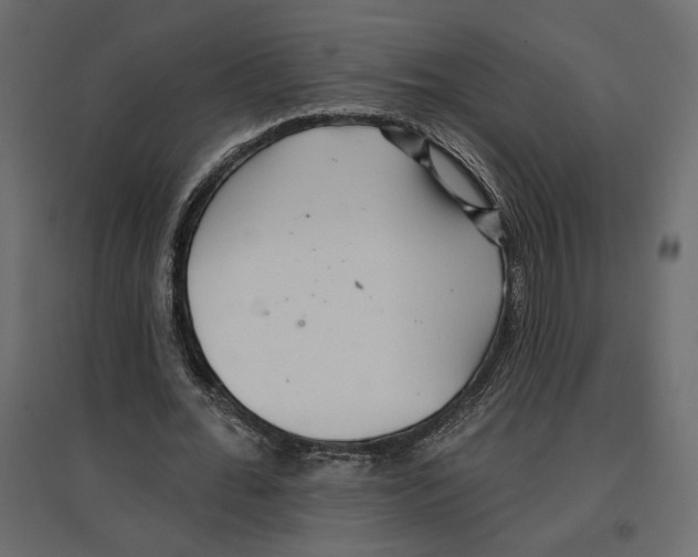 X0000096970676200803071006