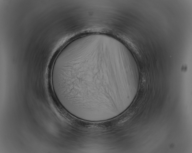 X0000096970678200803071006