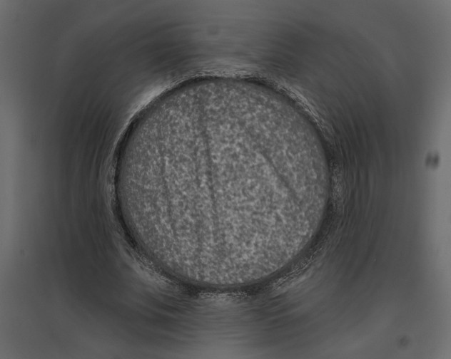 X0000096970679200803071006