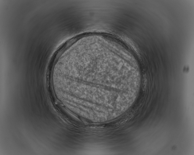 X0000096970680200803071006