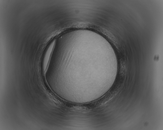 X0000096970681200803071006