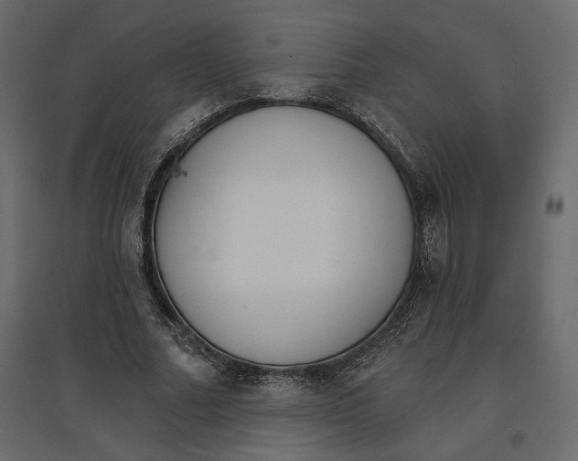 X0000096970682200803071006