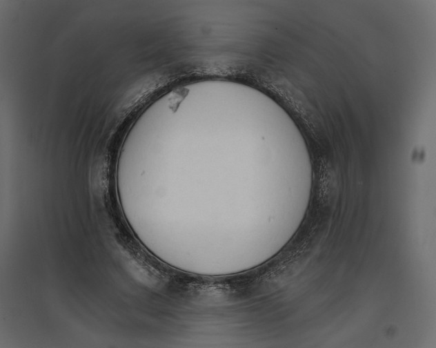 X0000096970683200803071006
