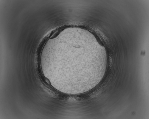 X0000096970684200803071006