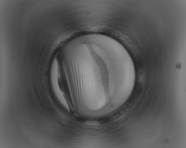 X0000096970685200803071006