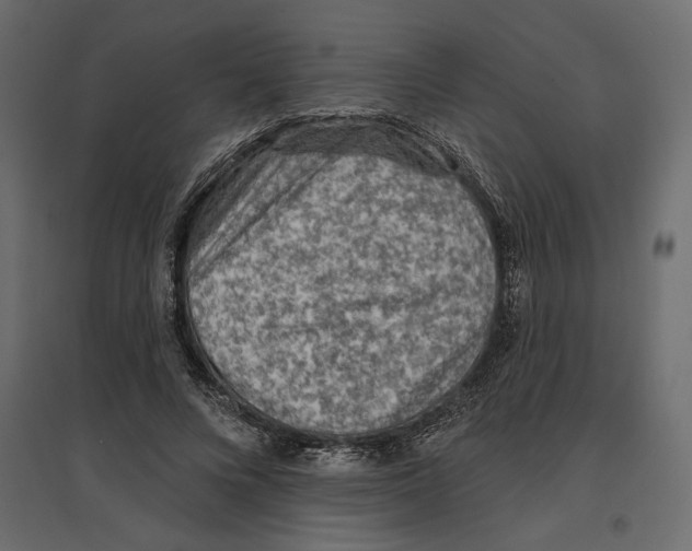 X0000096970688200803071006