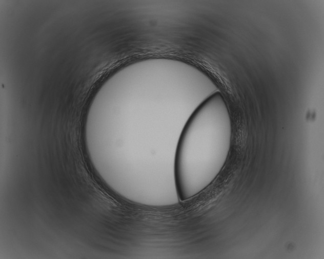 X0000096970689200803071006