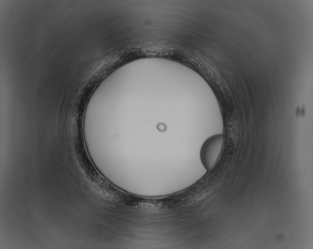 X0000096970690200803071006