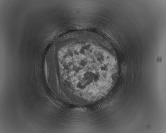 X0000096970691200803071006