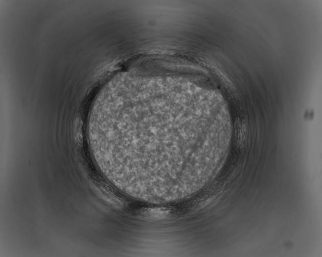 X0000096970692200803071006