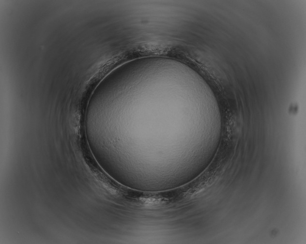 X0000096970693200803071006