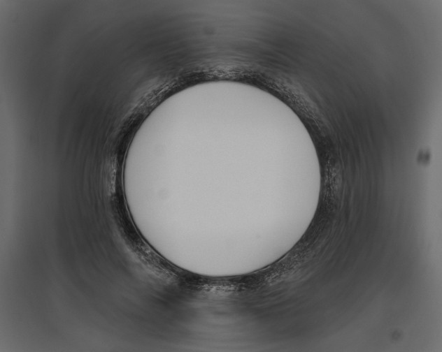 X0000096970694200803071006