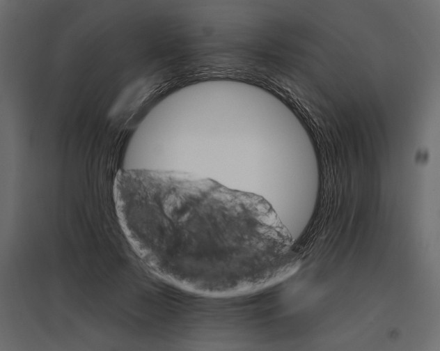 X0000096970695200803071006