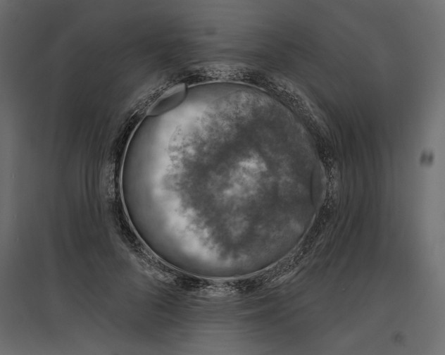 X0000096970696200803071006