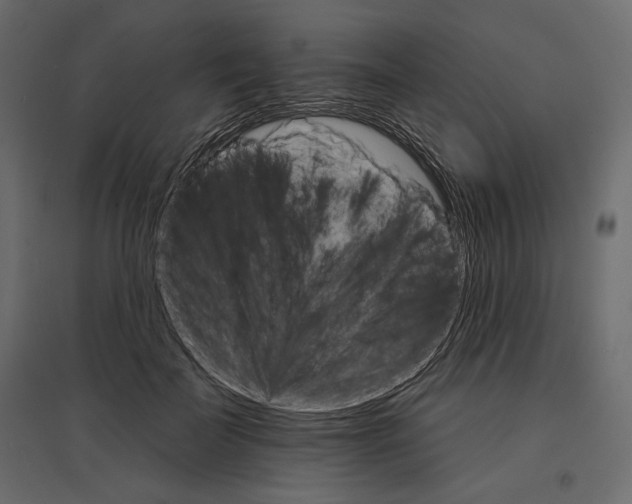 X0000096970699200803071006