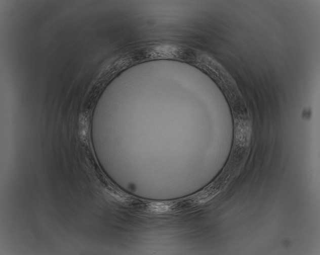 X0000096970701200803071006