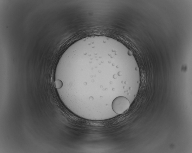 X0000096970702200803071006