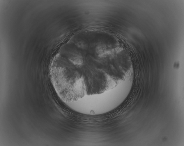 X0000096970703200803071006