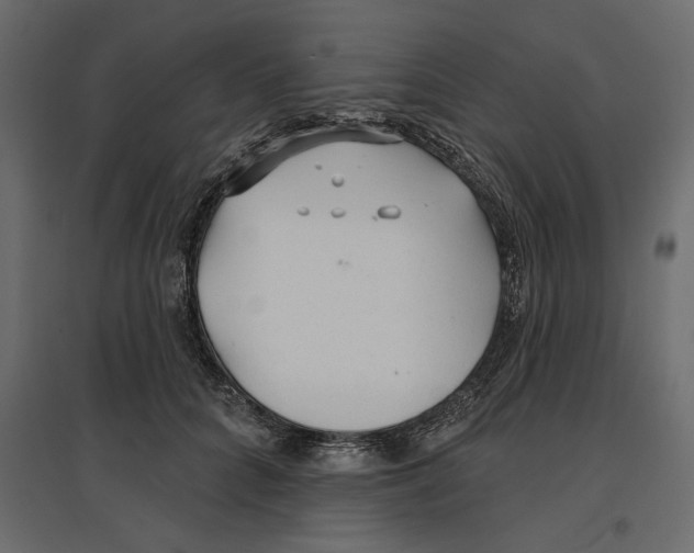X0000096970704200803071006