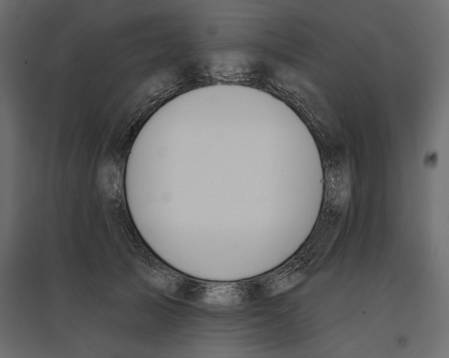 X0000096970705200803071006
