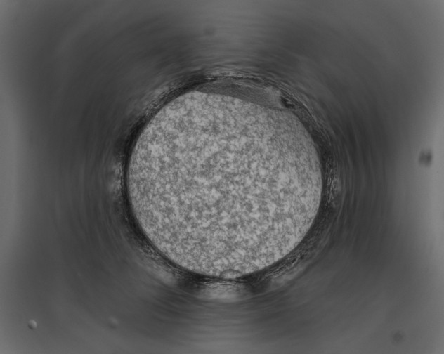 X0000096970708200803071006