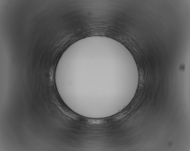 X0000096970710200803071006