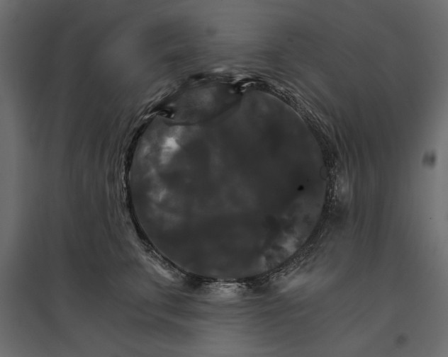 X0000096970711200803071006