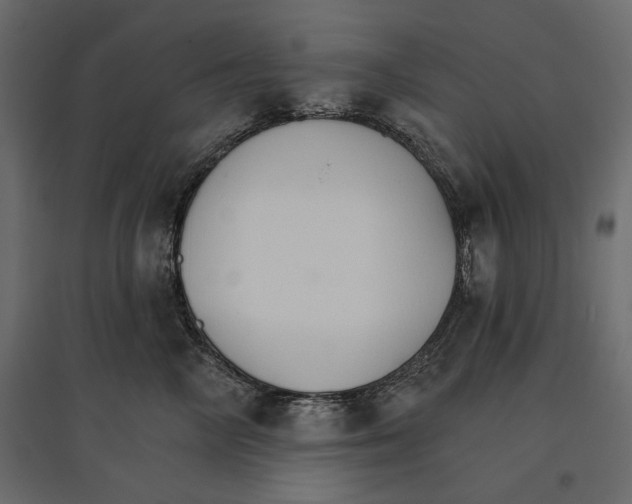 X0000096970714200803071006